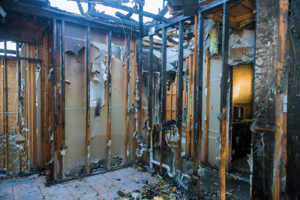 Professional Fire Damage Removal technician working in Applewood, CO
